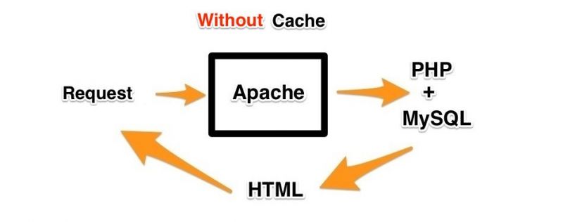 cache wordpress