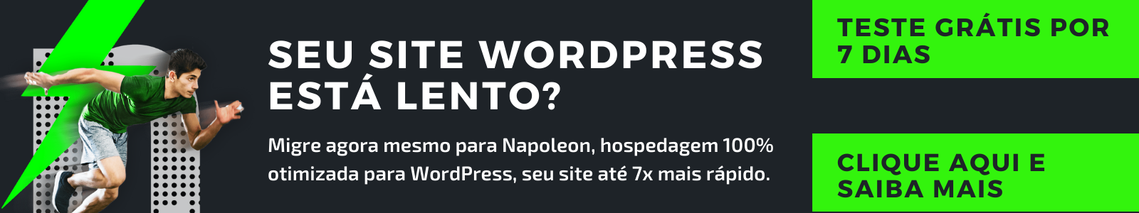 wordpress lento o que fazer