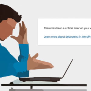 wordpress ha um erro critico no seu site o que e e como resolver 3