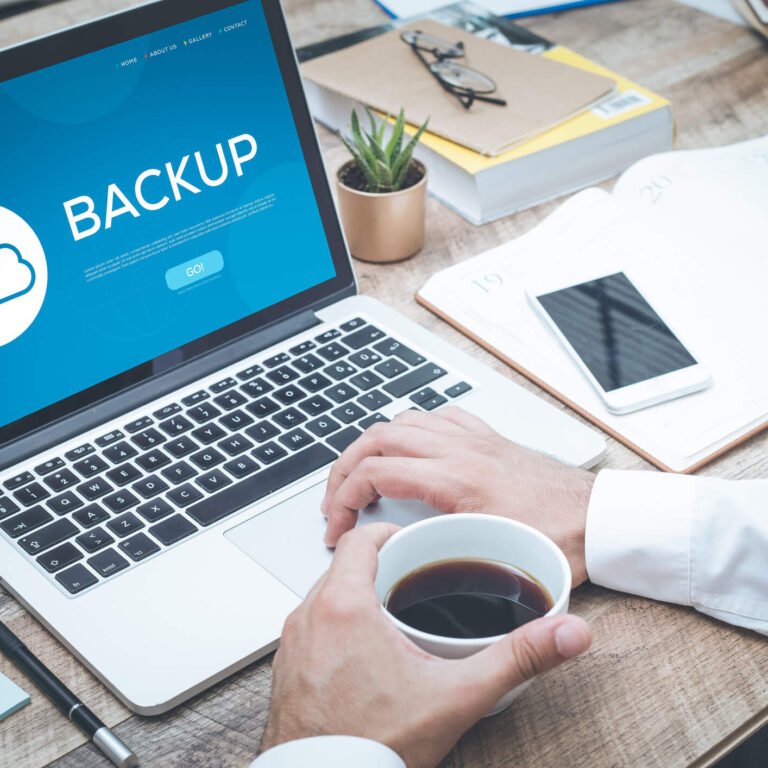 backup wordpress guia completo